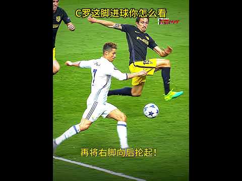 法国国家队,豪华阵容亮,相世界杯,伟德国际斯诺克,斯诺克比赛资讯,斯诺克赛事数据,台球赛事平台,斯诺克赛事信息