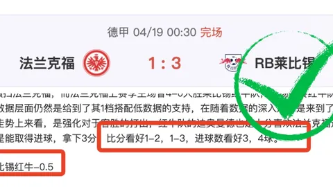 吉拉西独中三元，多特主场4-2逆转波鸿取胜